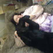 Blanding af racer konjak R.I.P