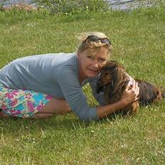 Gravhund Stella (aflidt maj 08)