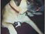 Blanding af racer Max *R.I.P* - Max sammen med mit hamster..