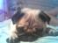 Mops jasmin R.I.P 16/8-2011 - lille mivs <3