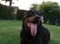 Rottweiler Titan 1998-2008 R.I.P 