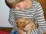 Cavalier king charles spaniel aZalia's Coco
