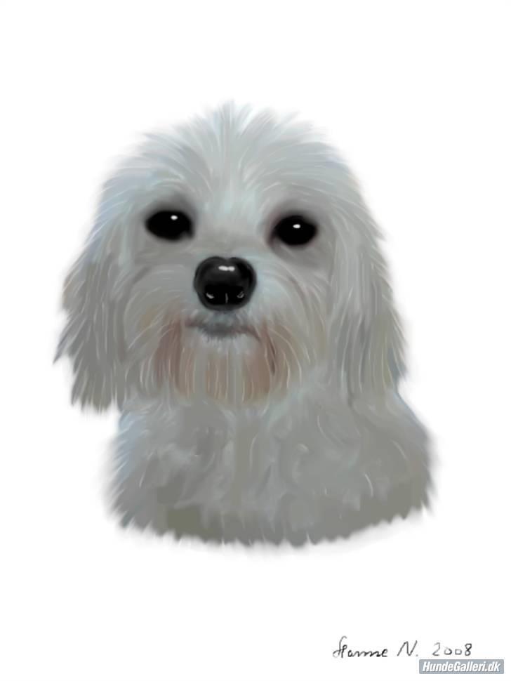 Løwchen Lucy<3 - Tegning billede 18