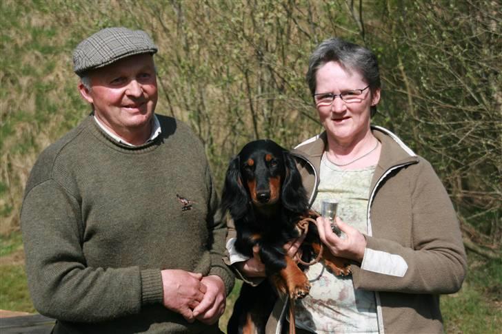 Gravhund Victor vom Waldwuffel - Gravprøve med 1. pr. 67 point i Nordjylland billede 3