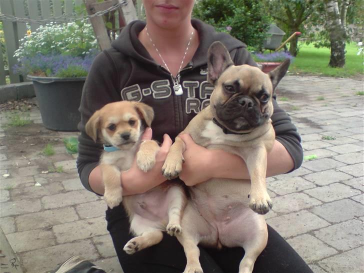 Blanding af racer Chicko <3 - Mig og Trunte - I like you trunte - min m8 <3 billede 10