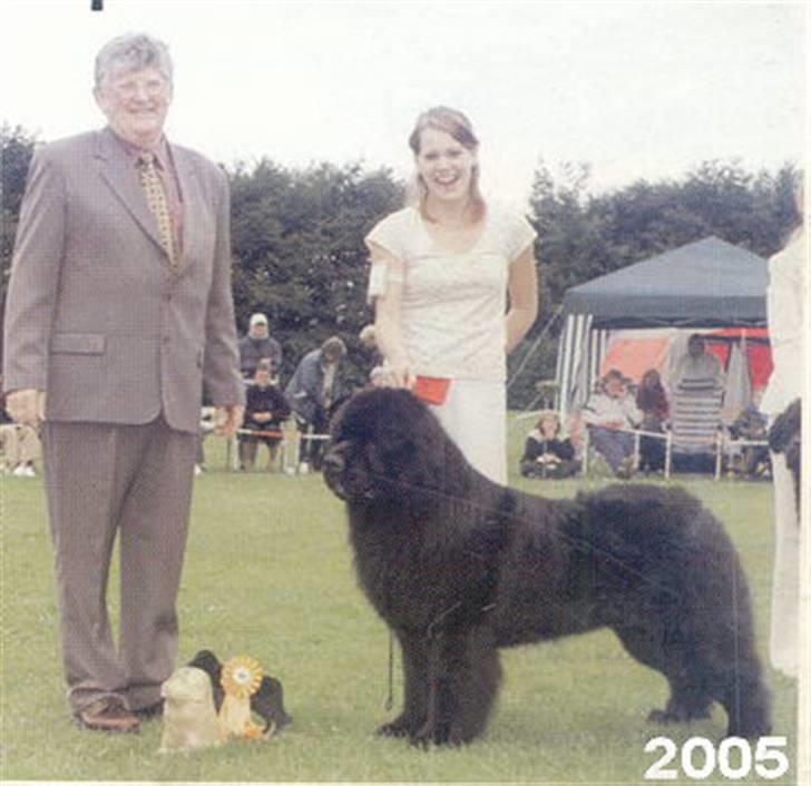 Newfoundlænder Frede - Her vandt jeg junior handling med Frede i 2005 billede 5