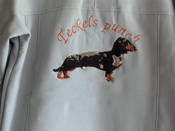 Gravhund Punch - Mine mennesker har tøj med mig bag på :o) billede 17