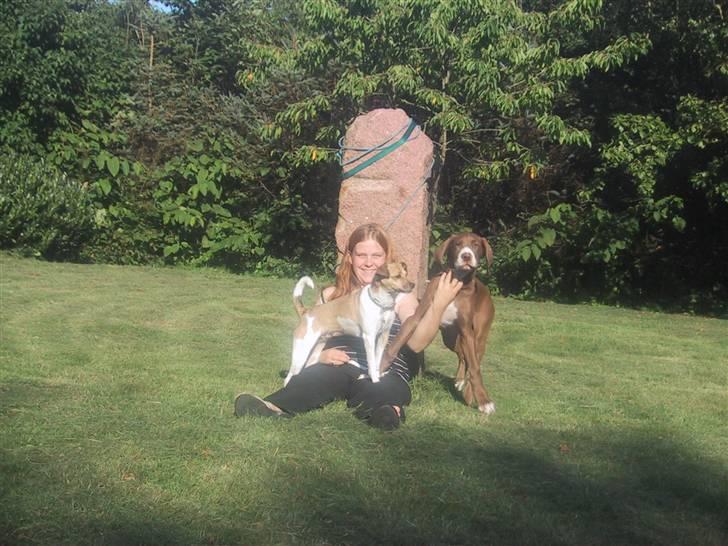 Grand danois Bailey - *døde 15dec* - familie billeder - det havde bailey ikke lige helt tid til :d billede 18