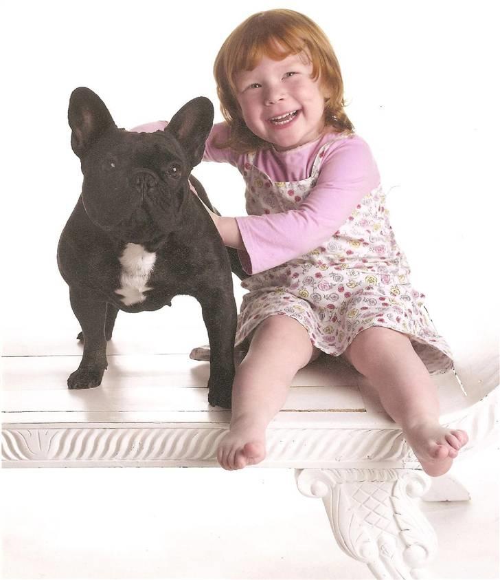 Fransk bulldog Astrid - Astrid ca. 2 år med mit barnebarn Julie, som på daværende tidspunkt var ca. 4 år billede 16