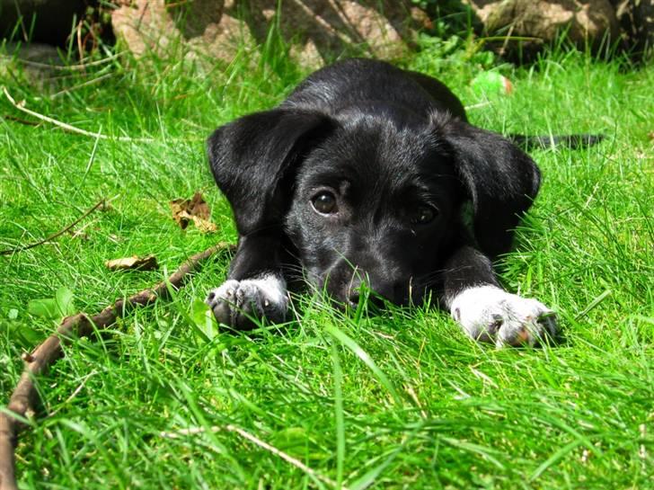 Blanding af racer Karla Malone - Ok, så leger jeg fotomodel een gang til billede 6