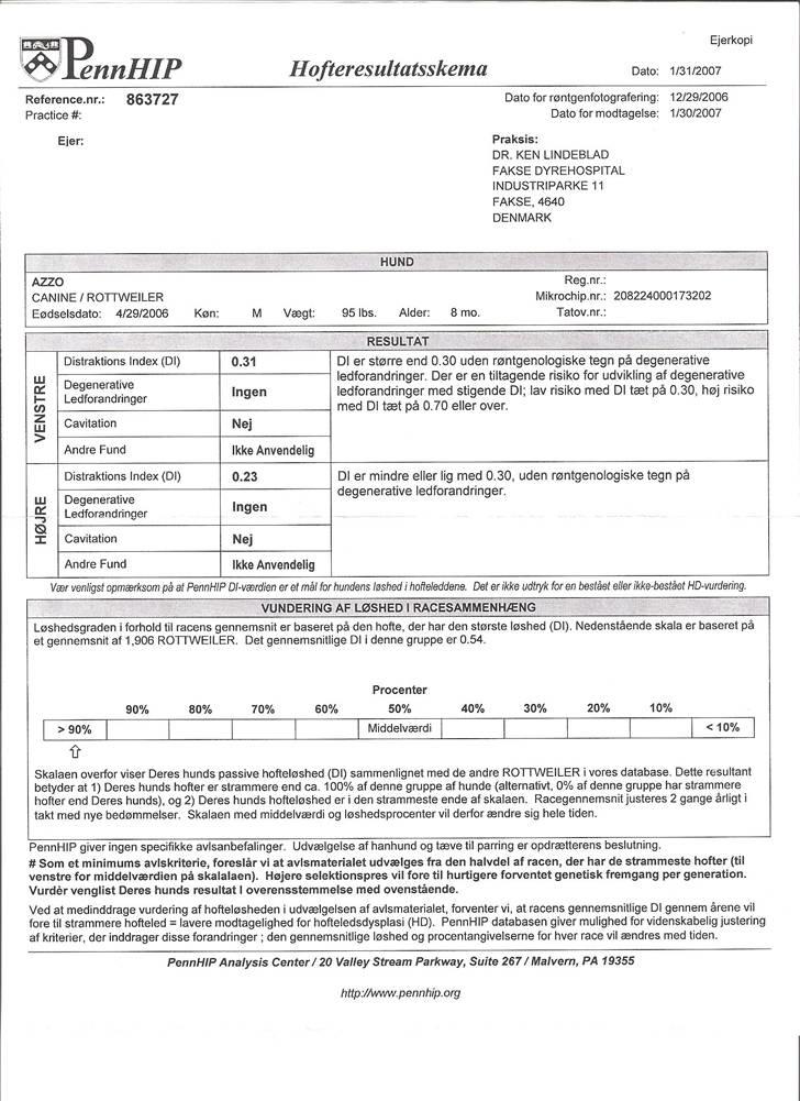 Rottweiler S.B. Von Barnewitz AZZO - hoftekort. billede 18