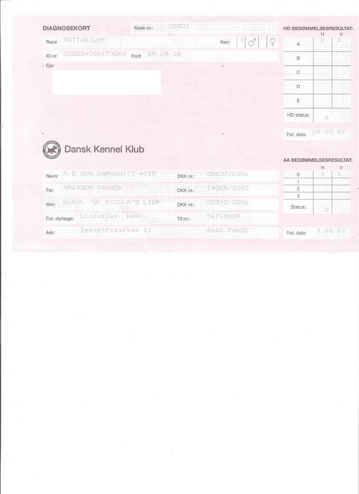 Rottweiler S.B. Von Barnewitz AZZO - diagnosekort.. billede 19