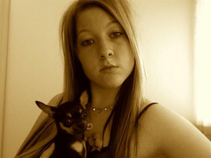 Chihuahua ¤*¨¨*¤.Gucci.¤*¨¨*¤ billede 18