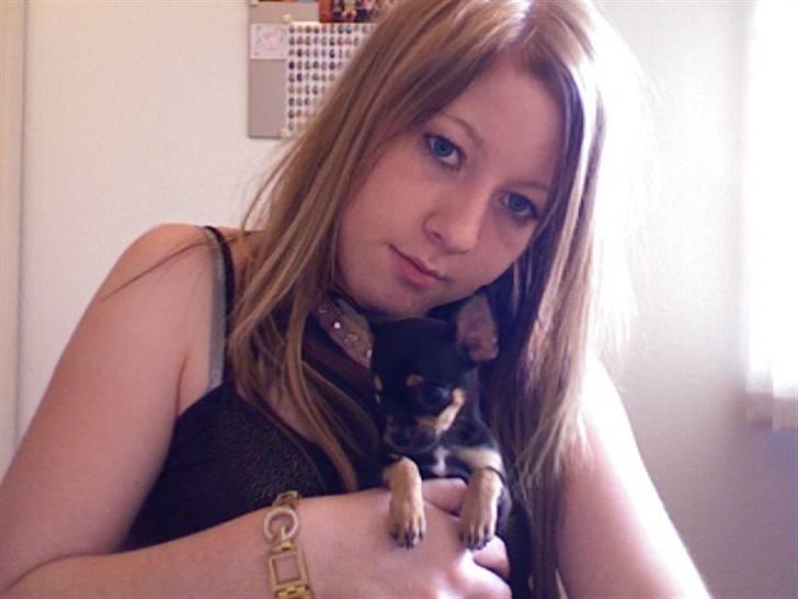 Chihuahua ¤*¨¨*¤.Gucci.¤*¨¨*¤ billede 19