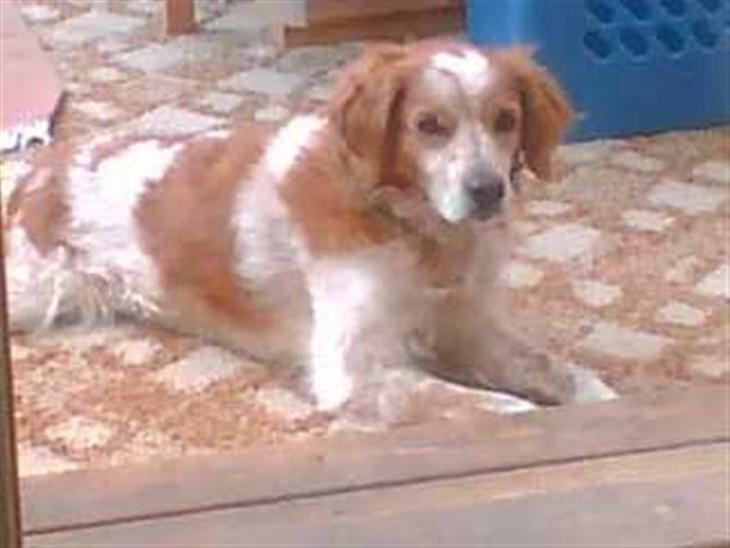 {{currentPhoto.altText}} billede {{currentPhoto.number}}