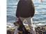 Blanding af racer sasha r.i.p - tur på stranden hun er en rigtig vandhund