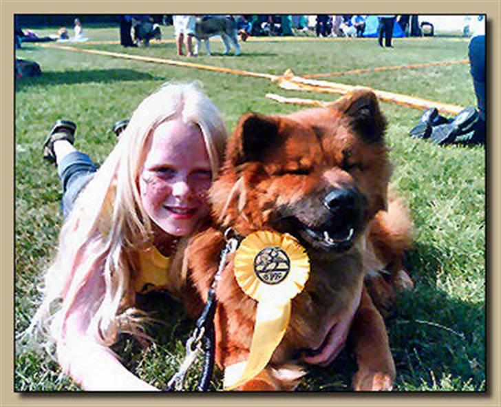 Eurasier Anna billede 13