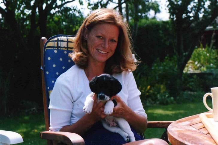 Blanding af racer Fido R.I.P billede 15