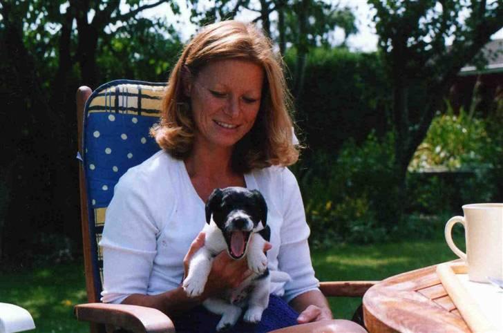 Blanding af racer Fido R.I.P billede 16