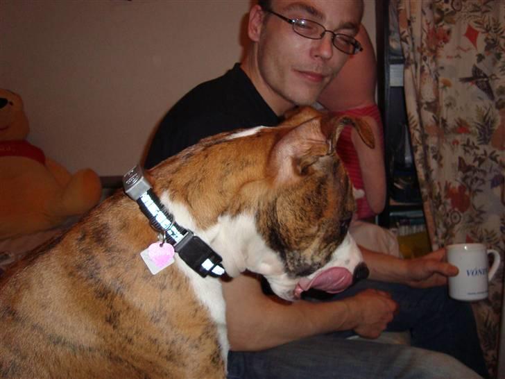 Blanding af racer Cassie - mmh far´s kaffe :D billede 18