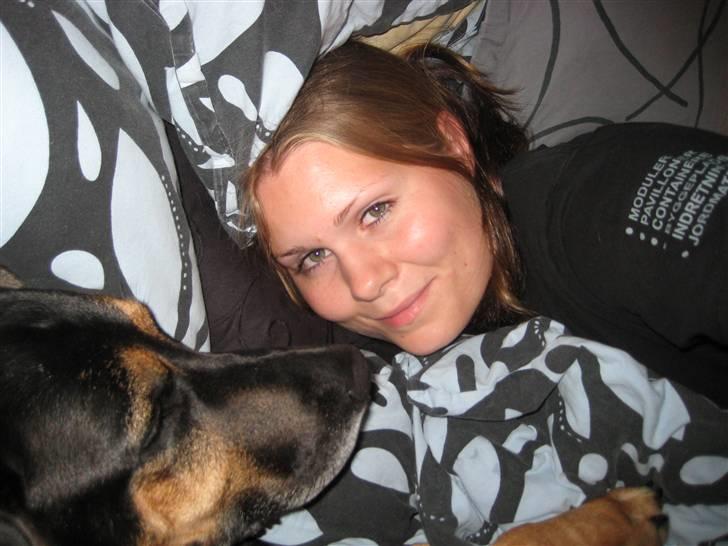 Blanding af racer Mikey - Vi ELSKER at putte! Helst i sengen.. shhyyy.. billede 15