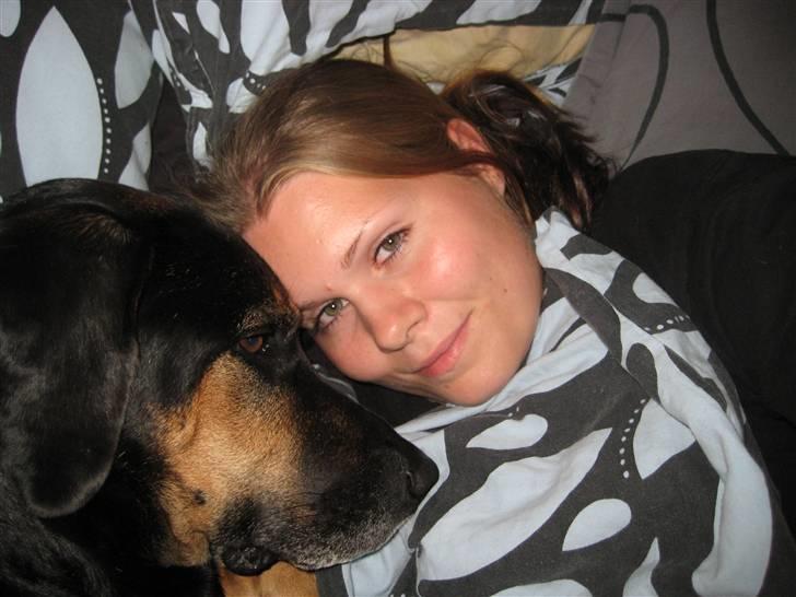 Blanding af racer Mikey - "Er de dog ikke snart færdig med at tage billeder af mig! Blitzen forstyrrer min søvn!" billede 16