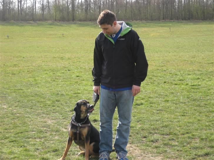 Blanding af racer Mikey - "He he, han tror vi træner lydighed! Jeg sidder kun pænt her fordi mor fotografere!" billede 17