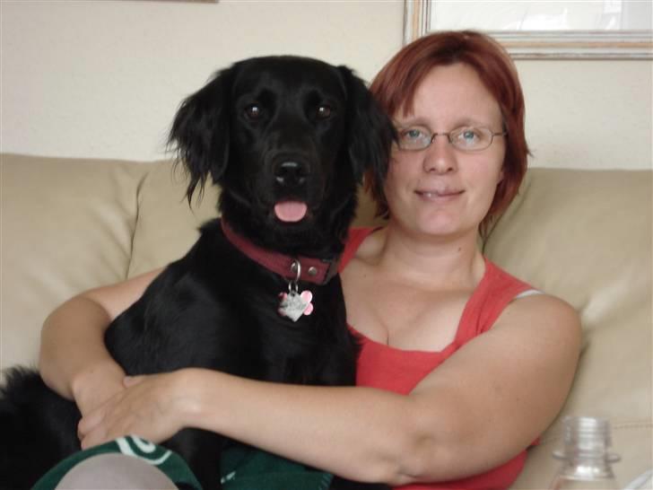 Flat coated retriever Maggie - Råhygger med mor  :-) billede 11