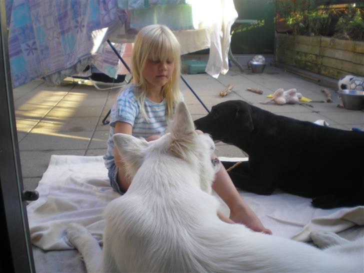 Blanding af racer Freja - Ihhhhh der hygges... billede 14