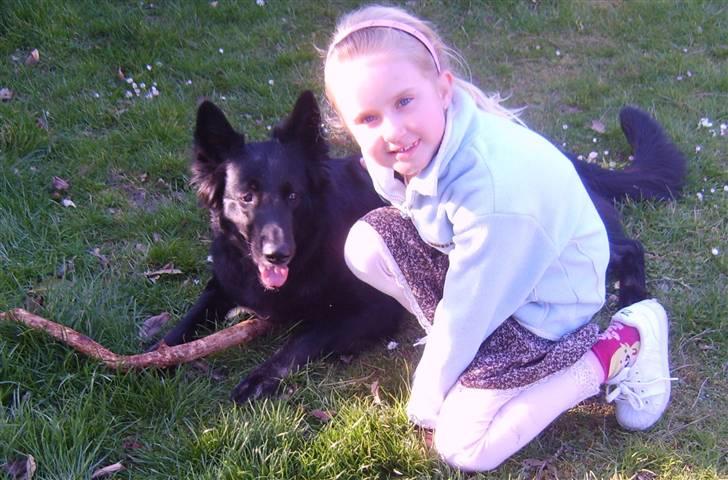 Schæferhund Leika - Freya og Leika...bedste venner billede 5