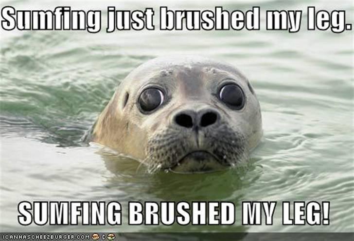 Blanding af racer Killa Starscream billede 15