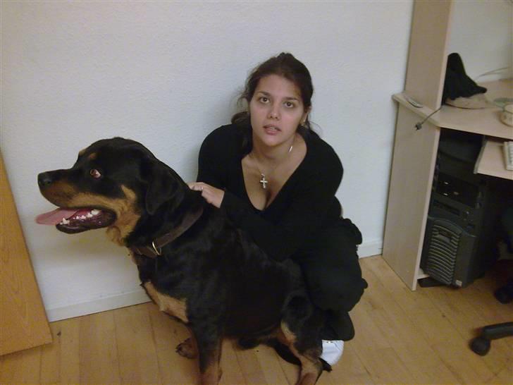 Rottweiler Bernard. - Bernards nye mor. billede 5