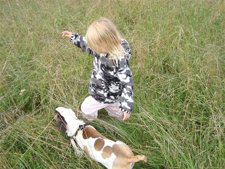 Blanding af racer ludvig - Karoline og ludvig i ødemarken billede 16