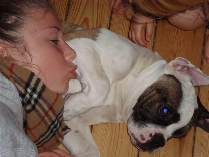 Blanding af racer ludvig - Emma gi`en lille kysser billede 19