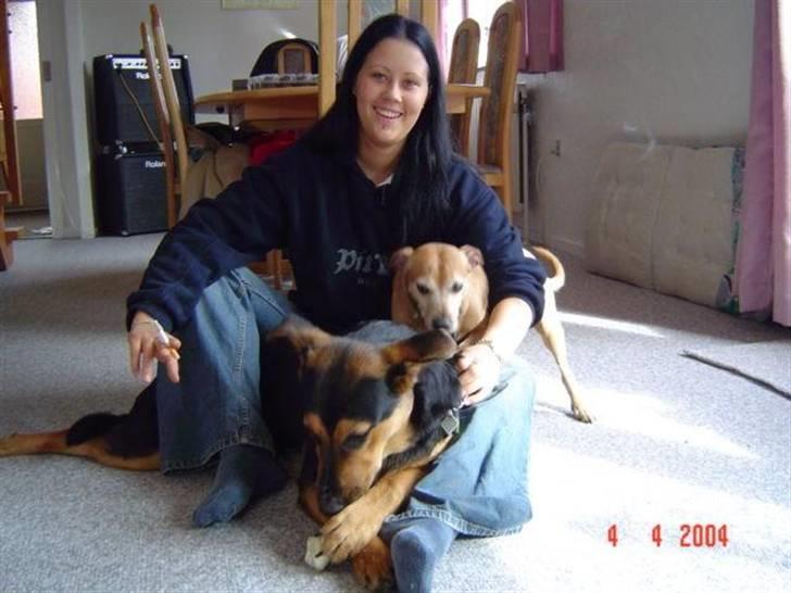 Blanding af racer sasha r.i.p - mig og sasha billede 11