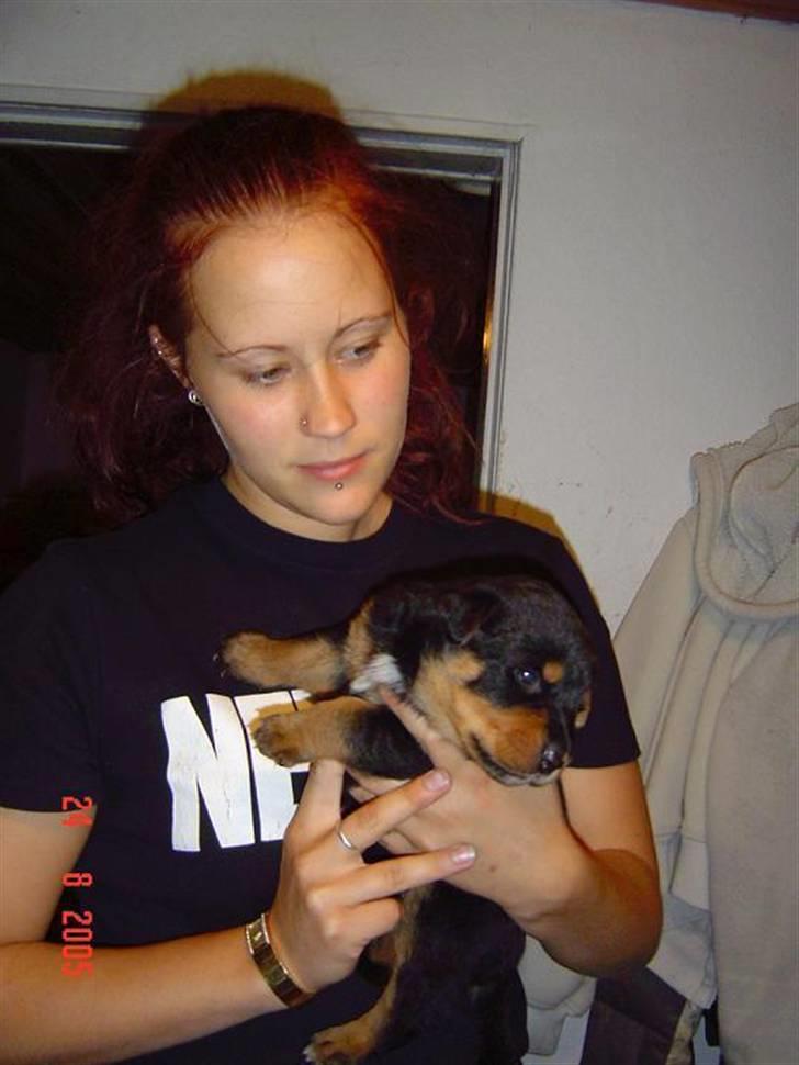 Blanding af racer sasha r.i.p - endnu engang myloo...  billede 16