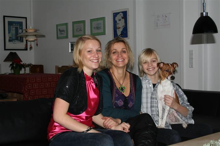 Dansk svensk gaardhund Felix - Julen 2009 billede 16