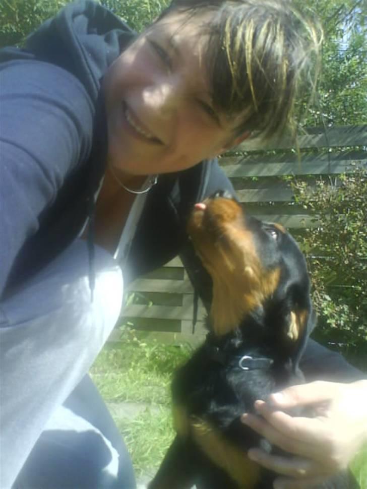 Rottweiler Malla <3 billede 16