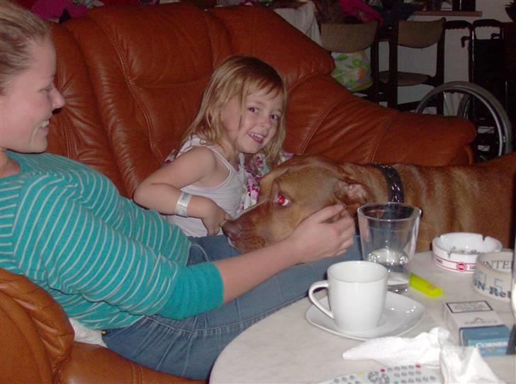 Blanding af racer gismo (R.I.P) billede 9