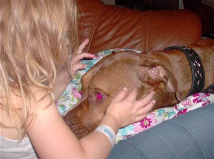 Blanding af racer gismo (R.I.P) billede 10