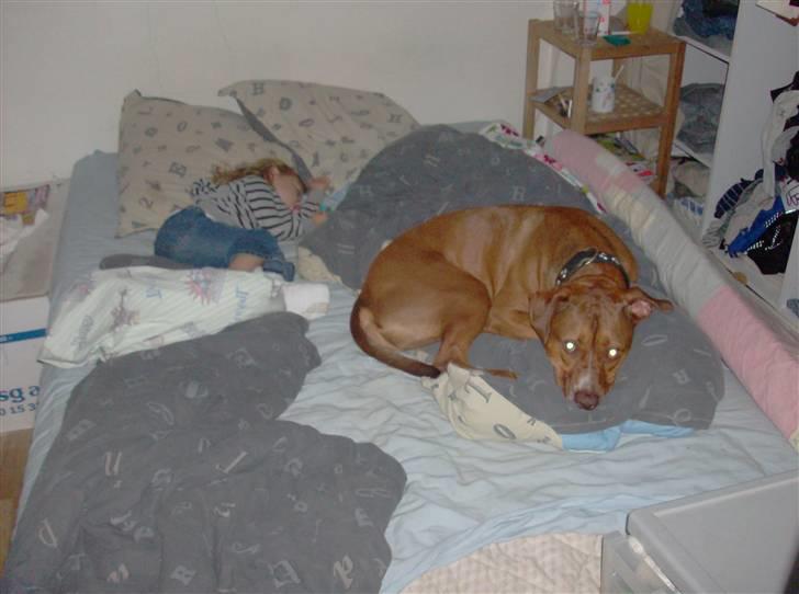 Blanding af racer gismo (R.I.P) billede 11