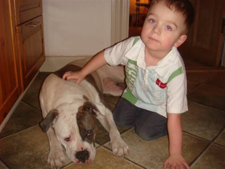 Amerikansk bulldog Chica - Mig og Benjamin.. Han er bare super kærlig.. billede 11