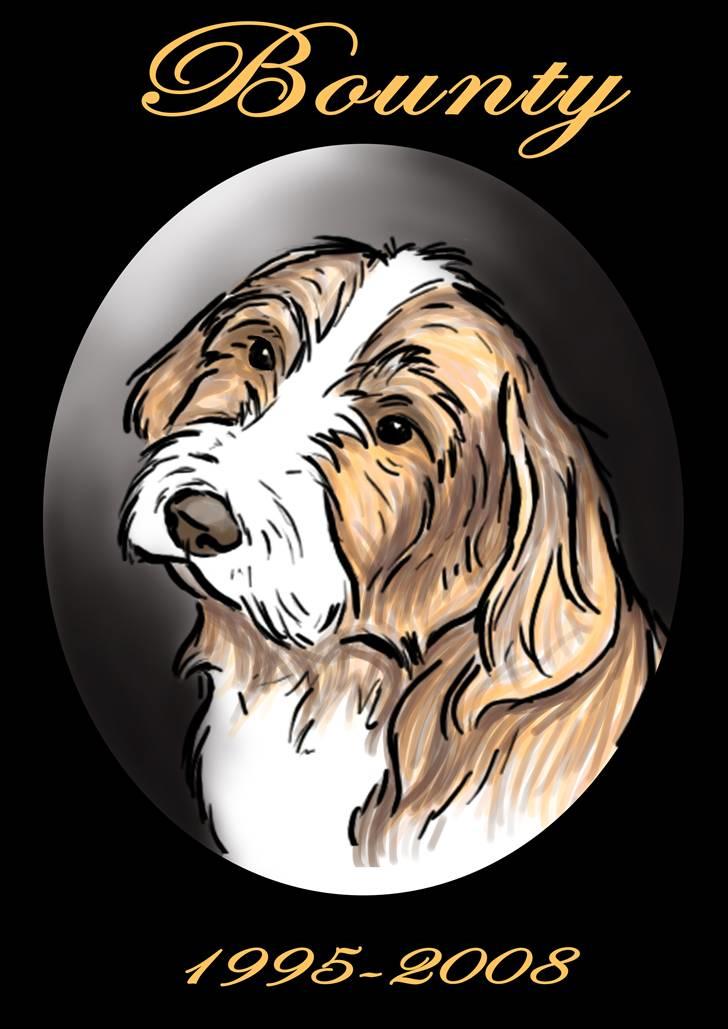Bearded collie Bounty R.I.P - Billed tegnet af Julie, smukt minde om Bounty....... billede 14