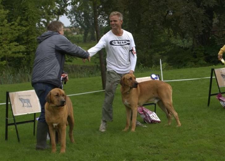 Broholmer cæsar - så siger vi tillykke til vores vinder hund billede 9