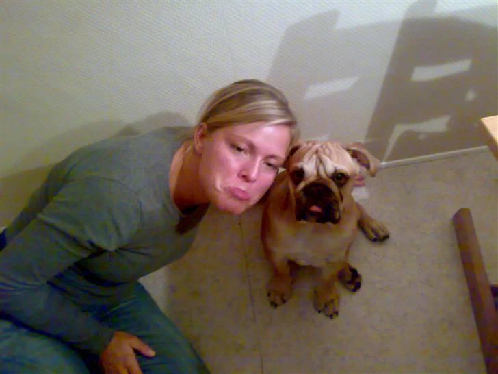 Blanding af racer Aja - Mig og min moster.. Hun tror rigtig hun kan posere ligeså smukt som mig, pss, men lad hende da bare tro det ;o) billede 12