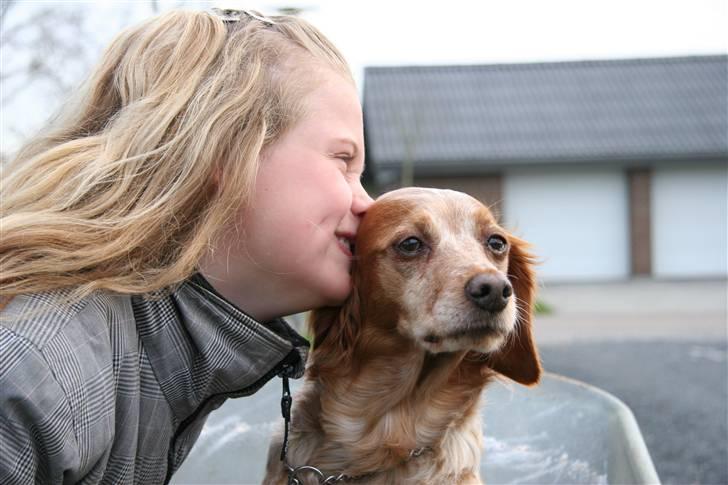 Breton ronja<3 billede 6