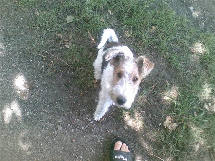 {{currentPhoto.altText}} billede {{currentPhoto.number}}