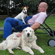 Jack russell terrier Mojo R.I.P.