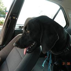 Blanding af racer kira