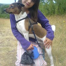 Dansk svensk gaardhund Lucky. RIP! (L)